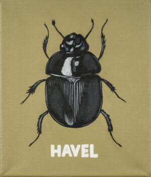 37 – Havel IX.