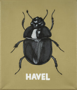 62 – Havel IX.